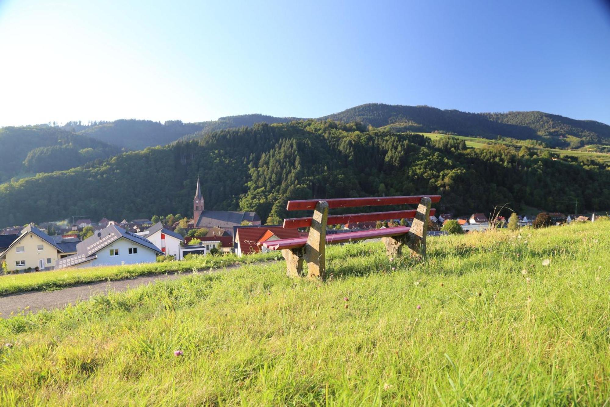 Appartement Schwarzwaldstueble Oberharmersbach Exteriör bild
